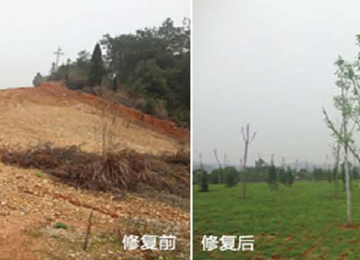 污染土壤修復(fù)典型案例